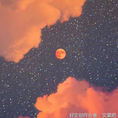 个人收藏优美的句子