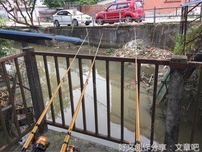 钓螃蟹作文大全