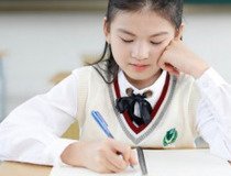 有关铅笔盒里的故事的作文