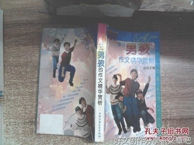 阳光男孩通用作文