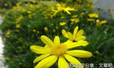一次快乐的旅行作文(精选10篇)