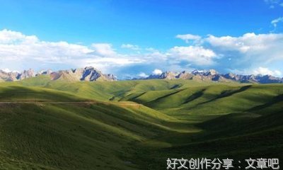 我的端午节作文300个字