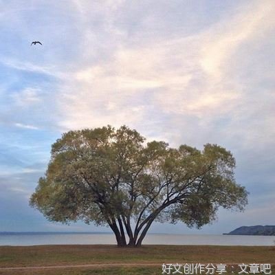 有关悟的句子