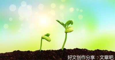 风干过往，禅心珍藏句子大全