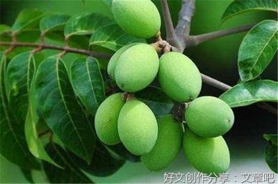 《一嚼两千年》读后感锦集