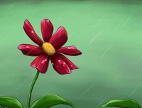 雨，其实是心雨
