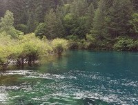 《川流不息：水之爱》经典影评有感