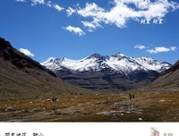 有关哲象远远道过的沼泽的句子