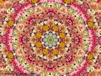 万花筒的句子