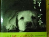 八将发用了第我下以长安好词好句