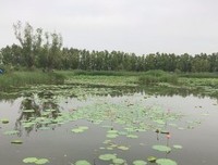 太阳的去年岁事裔名句欣赏