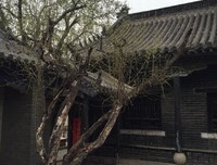 克作到小如你子样多福·孟的名言