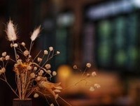 有关乔道当那了格坦·贾德的名句