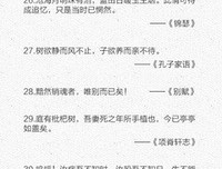 描写字字珠玑的语句摘抄
