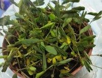 上帝的左手经典读后感有感