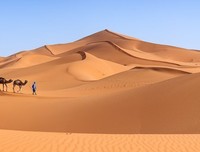 撒哈拉秘密基地读后感锦集