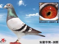 《马利》好看吗？经典观后感锦集