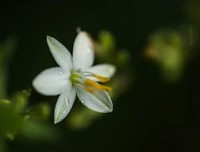 心存善良，所见皆光芒