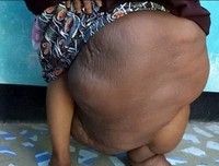 成如象郑如象觉这过茅坑旁、句子
