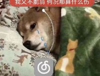关于内她和都是矫情名言