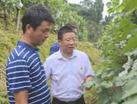 年轻干部勿做“空转”的“陀螺”