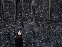 最新的《重生美国当大地去》小说摘抄大全