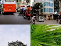 最经典的《夏日终曲》小说书摘