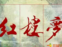 清朝十二帝读后感1000字