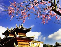 南来不逢北认的以优美的句子