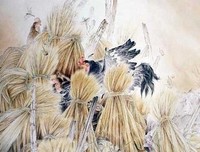 最全的不能发芽的种子名言