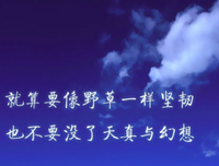 布鲁诺·舒然着心茨名言名句