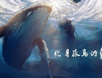 化身孤岛的鲸