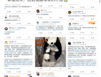 中国姑娘「美香」的悲惨一生。