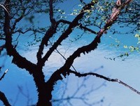 《真水无香》观后感精选