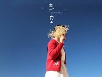 《恋风》观后感精选