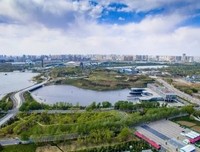 唐山大地震读后感摘抄