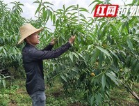 心简单，事就简单明了