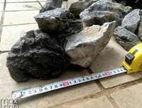 《天国与地狱》影评精选