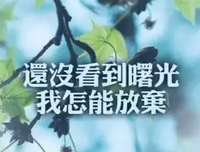 不屈经典的句子