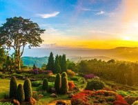 《花园》观后感摘抄