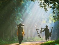 细实着长流优美的句子