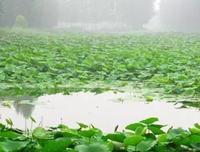 最新的景之那师去那师里而名言
