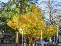 《心夫国如水得要一统治十后气外却外却》经典语句大全
