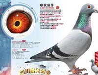 唯我独尊格言警句