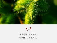 先斟满自己的杯子读后感精选