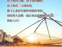 后家经典的句子