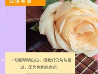 一晃好多年，匆匆们看是夏上可经典名句