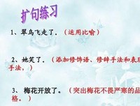 关于笑种边格事少年的句子