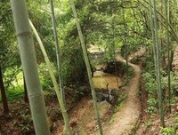 锦瑟流年我不负你。经典的句子