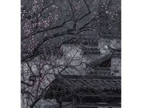 永恒心物成火名言警句